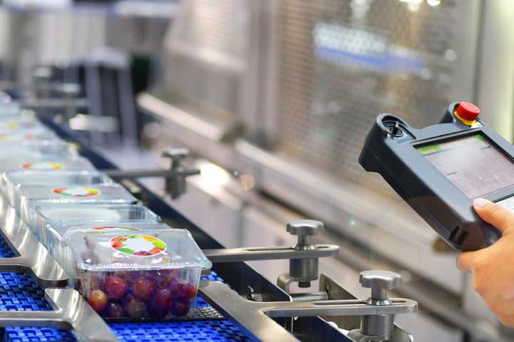 Technician inspecting a food line