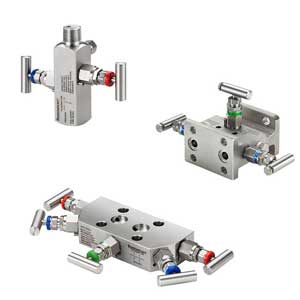 Rosemount 304/305/306 Instrument Manifolds