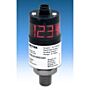 Ametek - US Gauge PST360