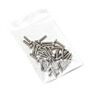 BW Technologies XT-SCREW-K1