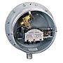 Dwyer Instruments PG-7000-153-P1