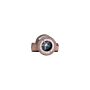 Dwyer Instruments SFI-300-3/4 Sight Flow Indicators 3/4 in NPT, Double Window