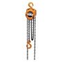 Harrington Hoists and Cranes CF010-20 