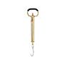 Ametek Chatillon IN-100M Brass Linear Scale,100lb x 1oz 