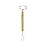 Ametek Chatillon IN-050 Brass Linear Scale,50lb x 8oz 