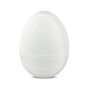 MadgeTech EGGTEMP-TS Thermal shield for the EggTemp - no data logger