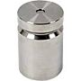 Troemner 1306W 3000 g Class F Test Weight with NVLAP Certificate