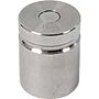 Troemner 1313W 400 g Class F Test Weight with NVLAP Certificate