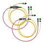 Fluke Networks CFM-TRC-S-MPO24U Test Reference Cord Kit for SM MPO 24 Pinned Cables