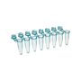 Simport 8 x 0.2ml attached dome cap - blue, 125/pack