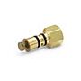 Ralston Instruments SWIV-2FBW 1/4" Female NPT swivel, Brass