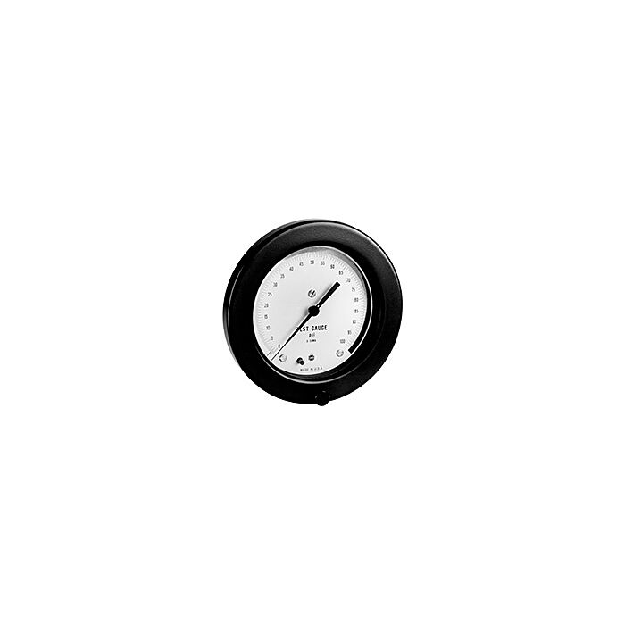 Ametek - US Gauge 1403-133594 6"Prec.TestGauge,30PSI,1/4"ANPT FF/Pnl.Mnt