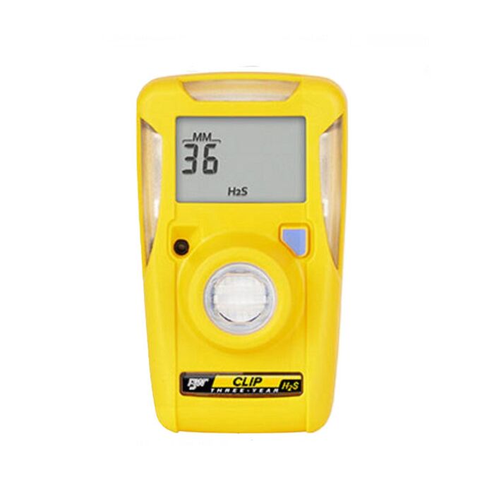 BW Technologies BWC3-H