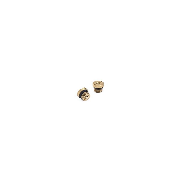 Ralston Instruments DP0V-0045 (2) DV0V Vacuum Check Valves Brass
