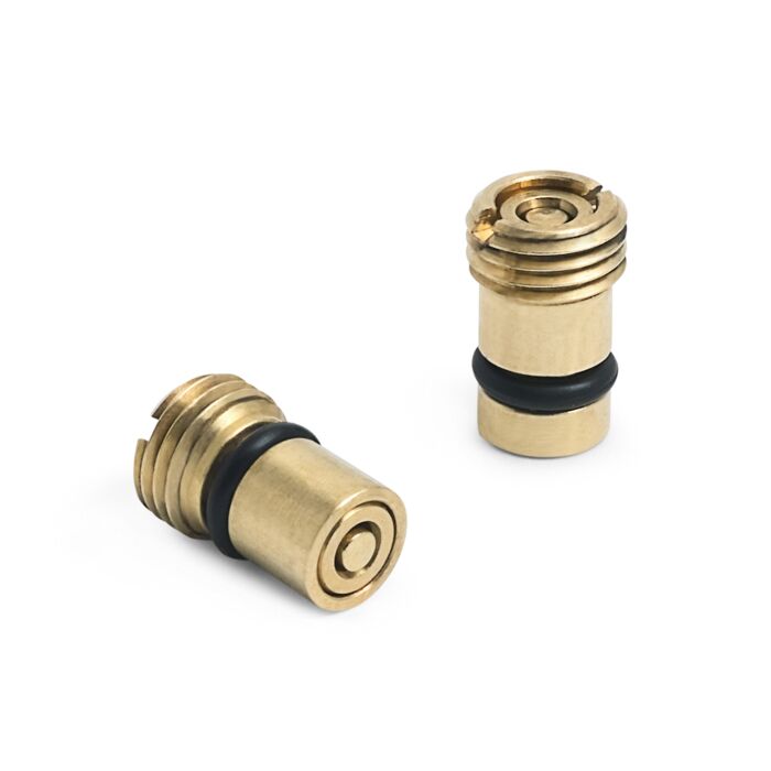Ralston Instruments SP0V-0006 SP0V Sampling Pump Outlet Check Valve, Stainless Steel