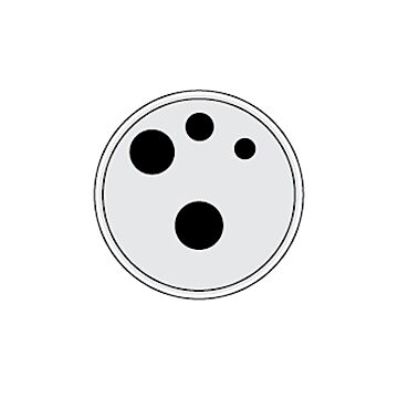Ametek - Jofra 127322 Metric, Probe diameter 13 mm, DLC & Refence holes