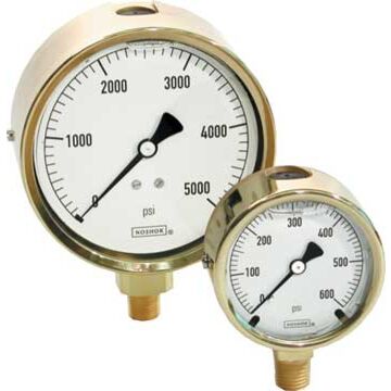 NOSHOK 25-300-SST-200-PSI