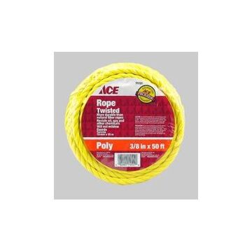 Ace Hardware 71721