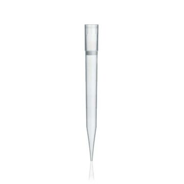BrandTech Scientific 50-1250ul Filter tips, TipBox, 86mm, 5 x 96 tips, sterile