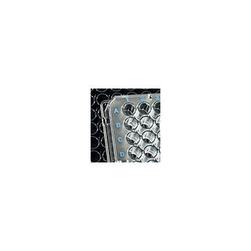 BrandTech Scientific plates transparent F bottom, 96 well, 100/pack