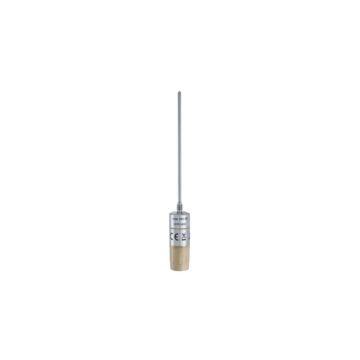 Testo 191-T2 HACCP temperature data logger with long, rigid probe