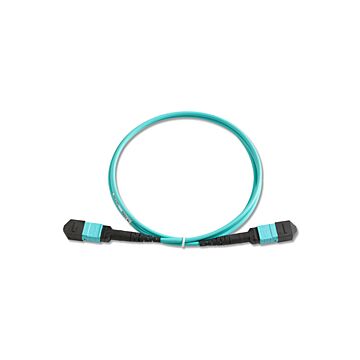 Fluke Networks TRC-MPO-PP-B