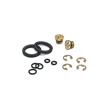 Ralston Instruments DV0V-REPK DV0V Pump Repair Kit