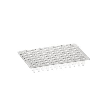 Simport Low profile amplate PCR plate, bag/10