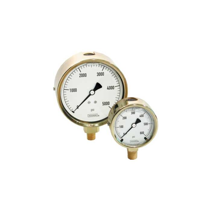 Noshok 25-310-1000PSI-MIP 