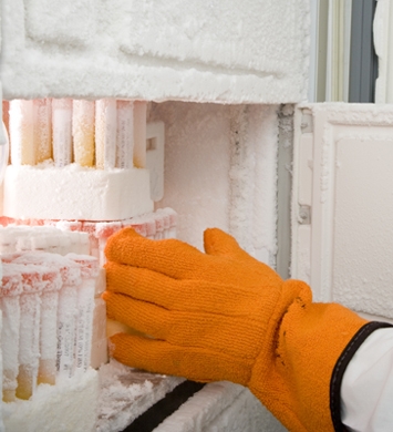 Transcat Freezer Validation & Qualification Services