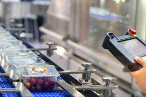 Technician inspecting a food line