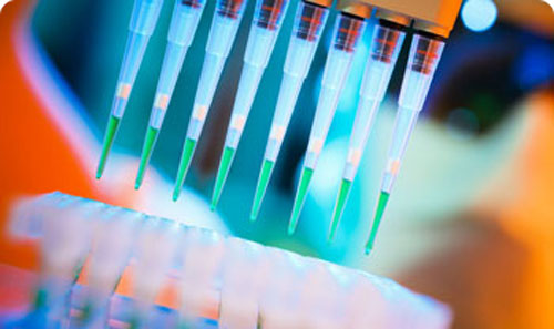 pipette calibration